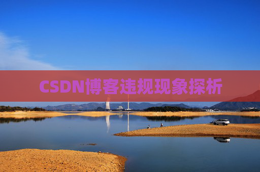 CSDN博客违规现象探析